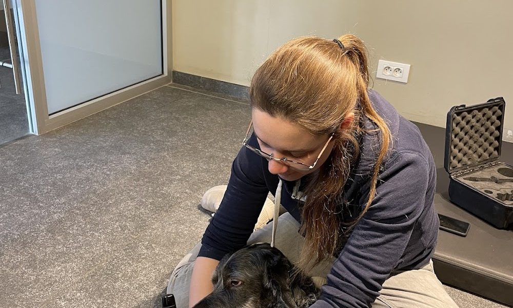 Animal Rehabilitation Center ‘Het Waterhof’