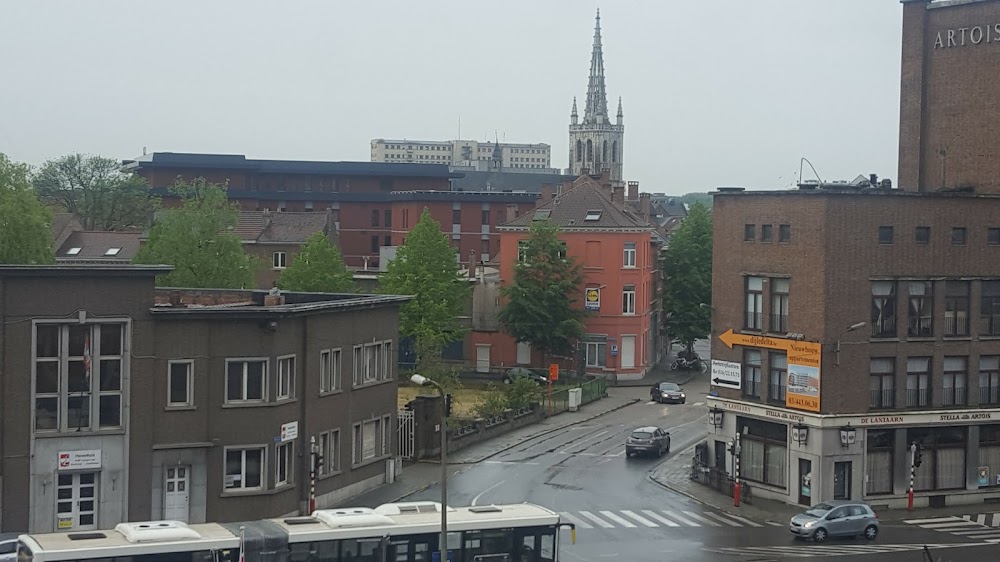 Cgg Leuven