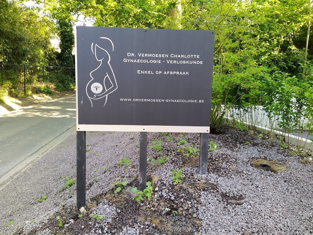 Dr Charlotte Vermoesen – gynaecologie – verloskunde
